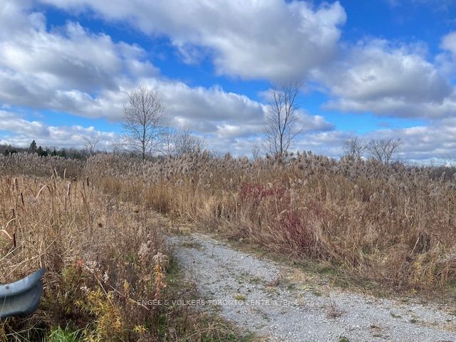 Vacant Land house for sale at 21514 Town Line Miles Rd East Gwillimbury Ontario