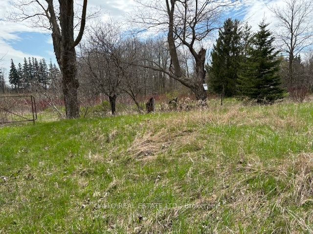 Vacant Land house for sale at 6041 Bloomington Rd Whitchurch-Stouffville Ontario