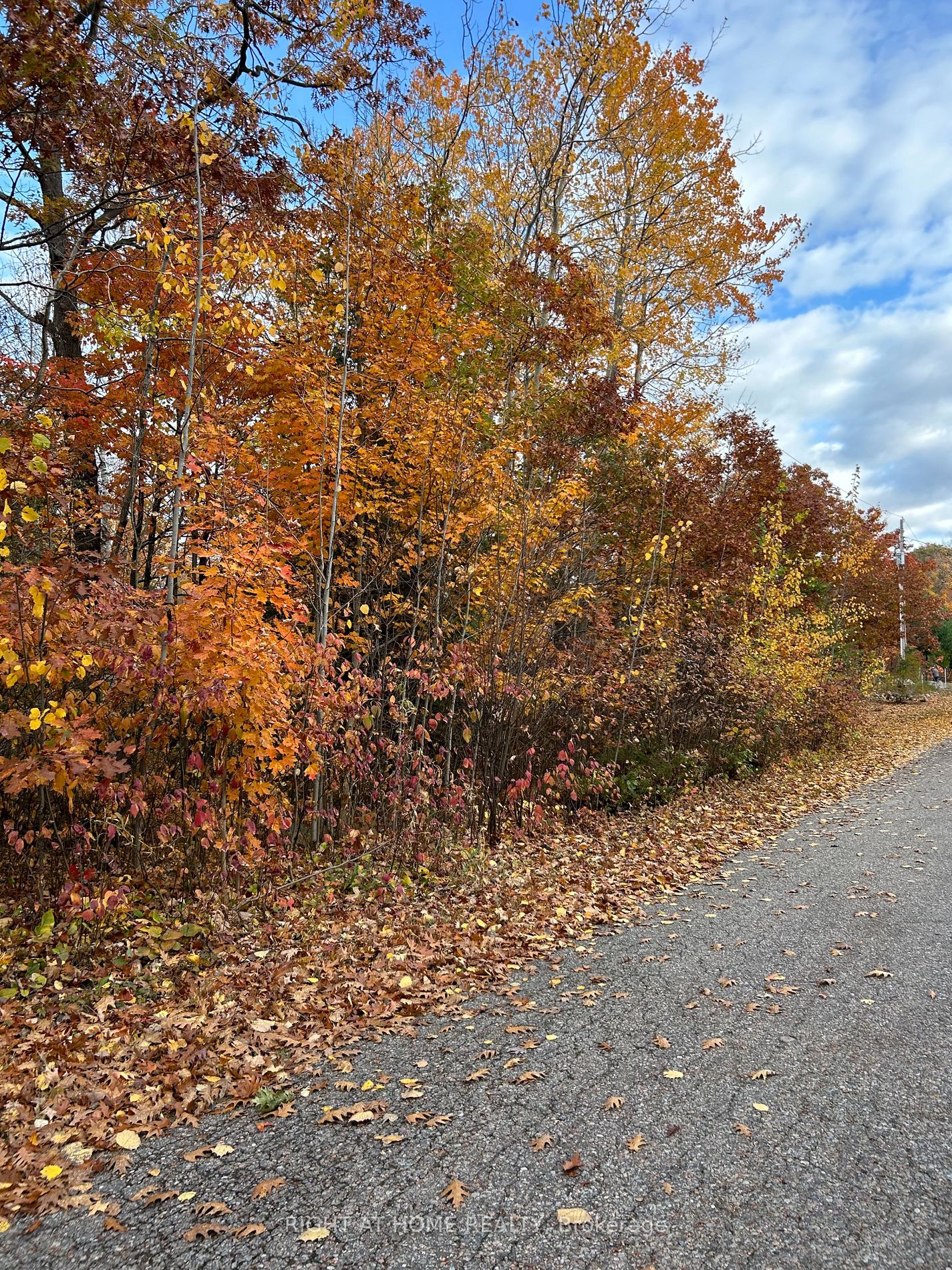 Vacant Land house for sale at Lot 64 Parklane Crt Tiny Ontario