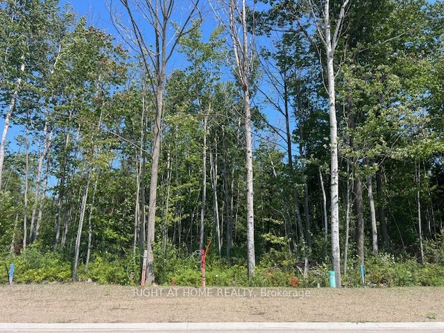 Vacant Land house for sale at Lot 77 Mapleside Dr Wasaga Beach Ontario