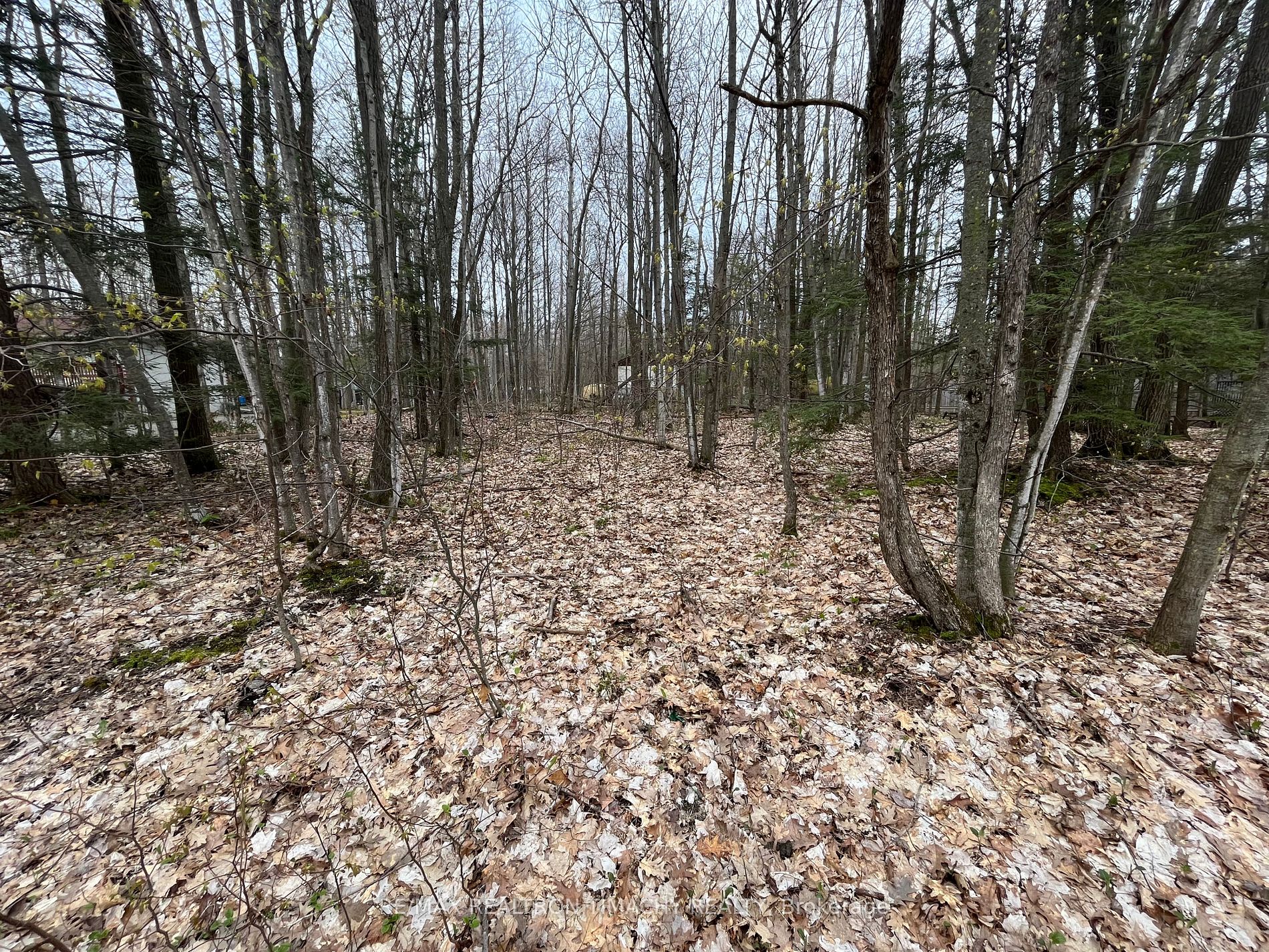 Vacant Land house for sale at Lot 705 Wolfe Tr Tiny Ontario