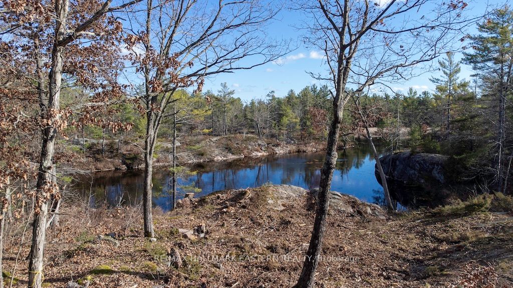 Vacant Land house for sale at 12 Fire Route 79B Galway-Cavendish and Harvey Ontario