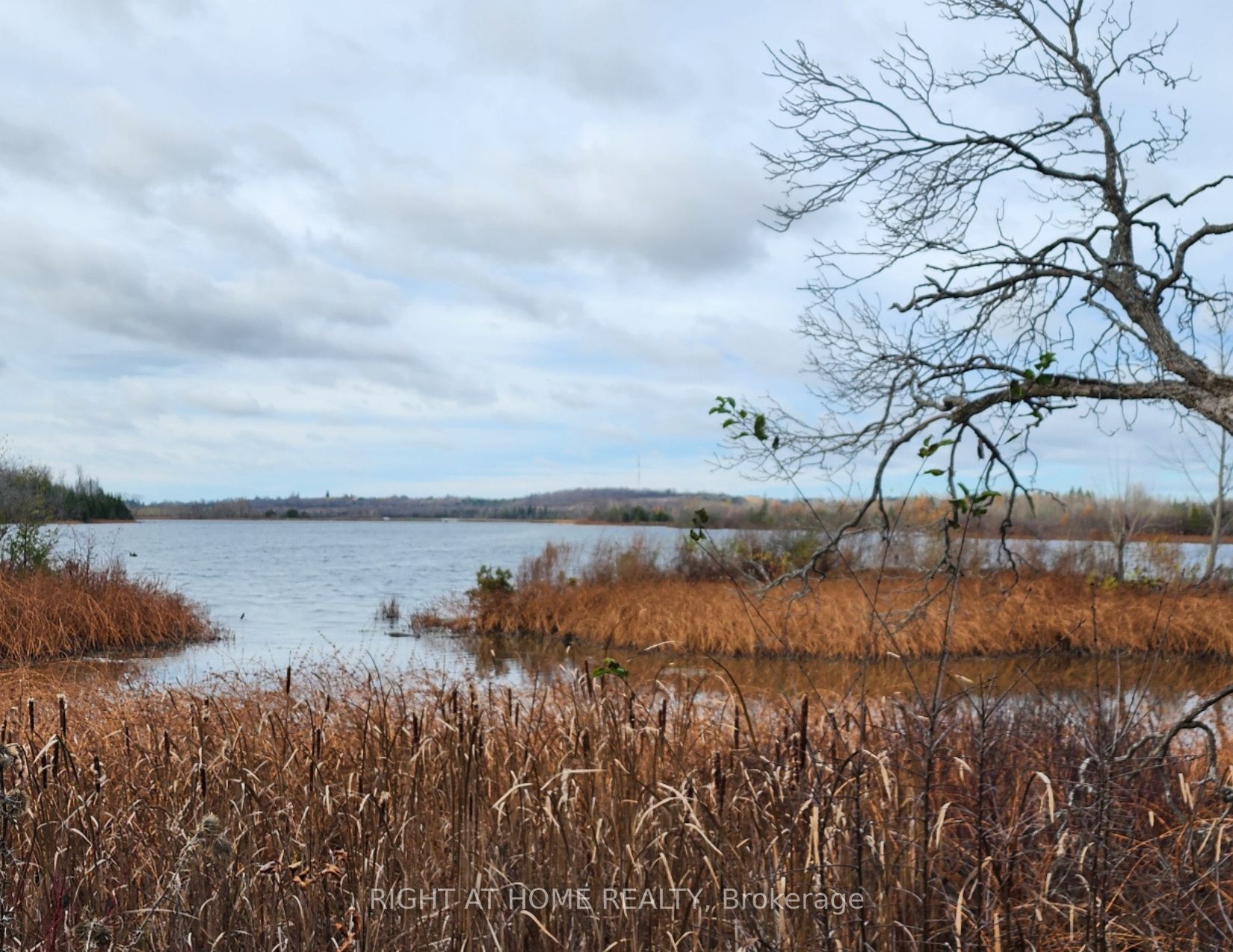 Vacant Land house for sale at 0 Park Dr Kawartha Lakes Ontario