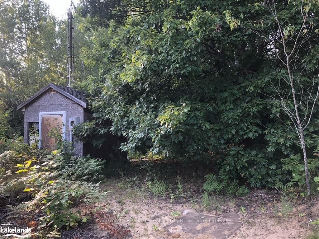 Vacant Land house for sale at 6576 SADOWA Rd Kawartha Lakes Ontario