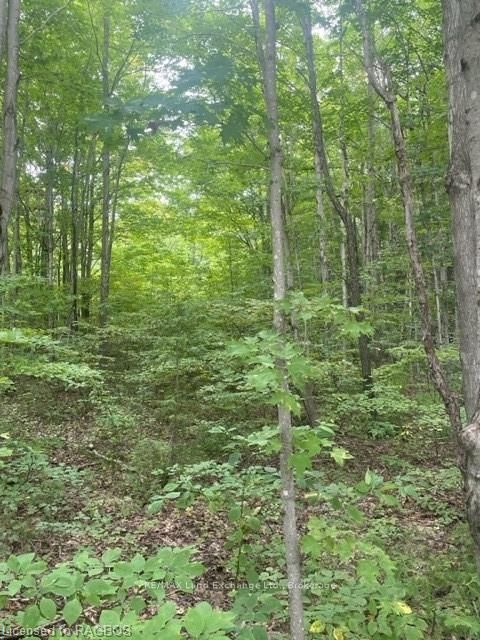 Vacant Land house for sale at PT LT 20 CONCESSION 5 Chatsworth Ontario