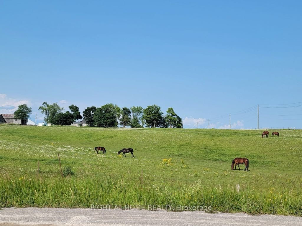 Farm house for sale at 2832 Highway 7  E Asphodel-Norwood Ontario