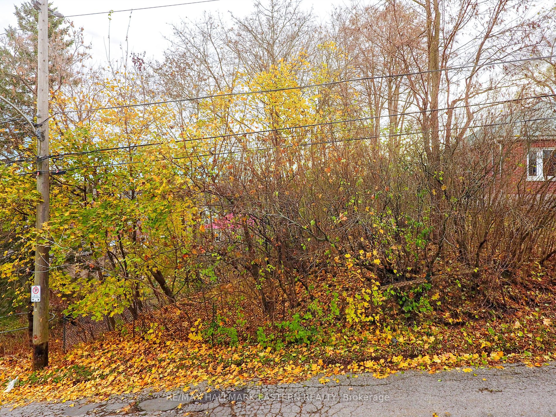 Vacant Land house for sale at 557 Murray St Peterborough Ontario