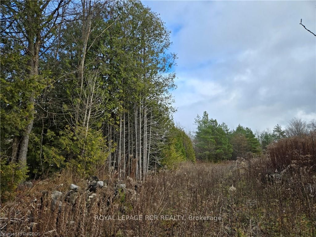 Vacant Land house for sale at PTLT8ES SALTER St Chatsworth Ontario