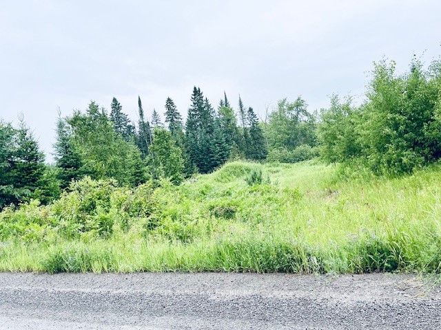 Vacant Land house for sale at 000 Lasswade Rd North Kawartha Ontario