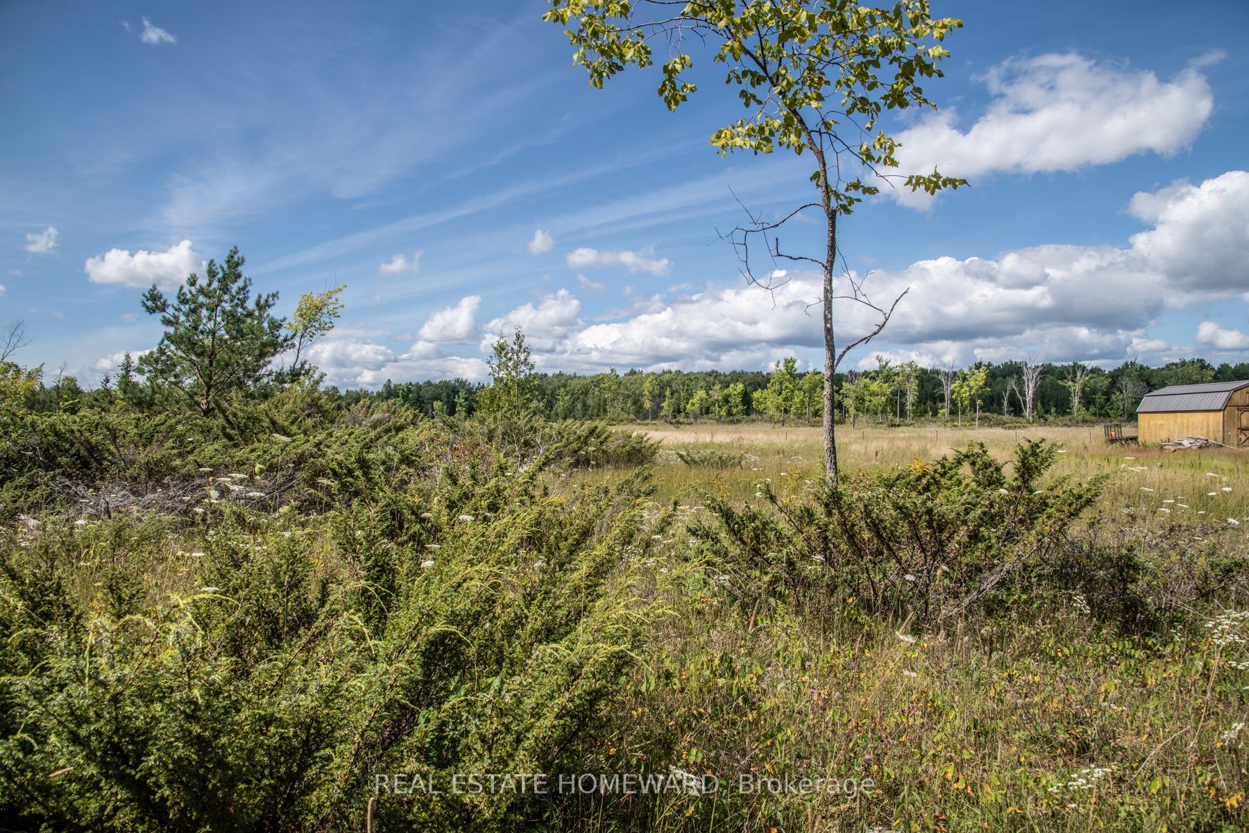 Vacant Land house for sale at LOT 250 McGuire Beach Rd Kawartha Lakes Ontario