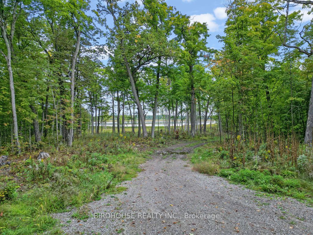 Vacant Land house for sale at 66 Fire Route 71 Galway-Cavendish and Harvey Ontario