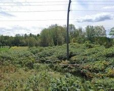 Vacant Land house for sale at N/A Trent River Rd Trent Hills Ontario