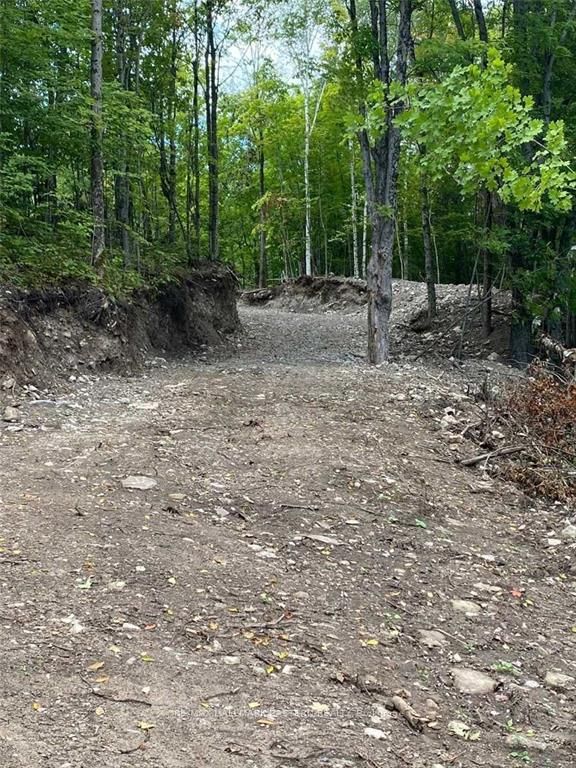 Vacant Land house for sale at Lot 2 Bass Lake Rd Galway-Cavendish and Harvey Ontario