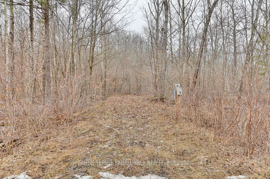 Vacant Land house for sale at 0 9th Line W Trent Hills Ontario