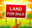 Vacant Land house for sale at 14 Annis St Stirling-Rawdon Ontario