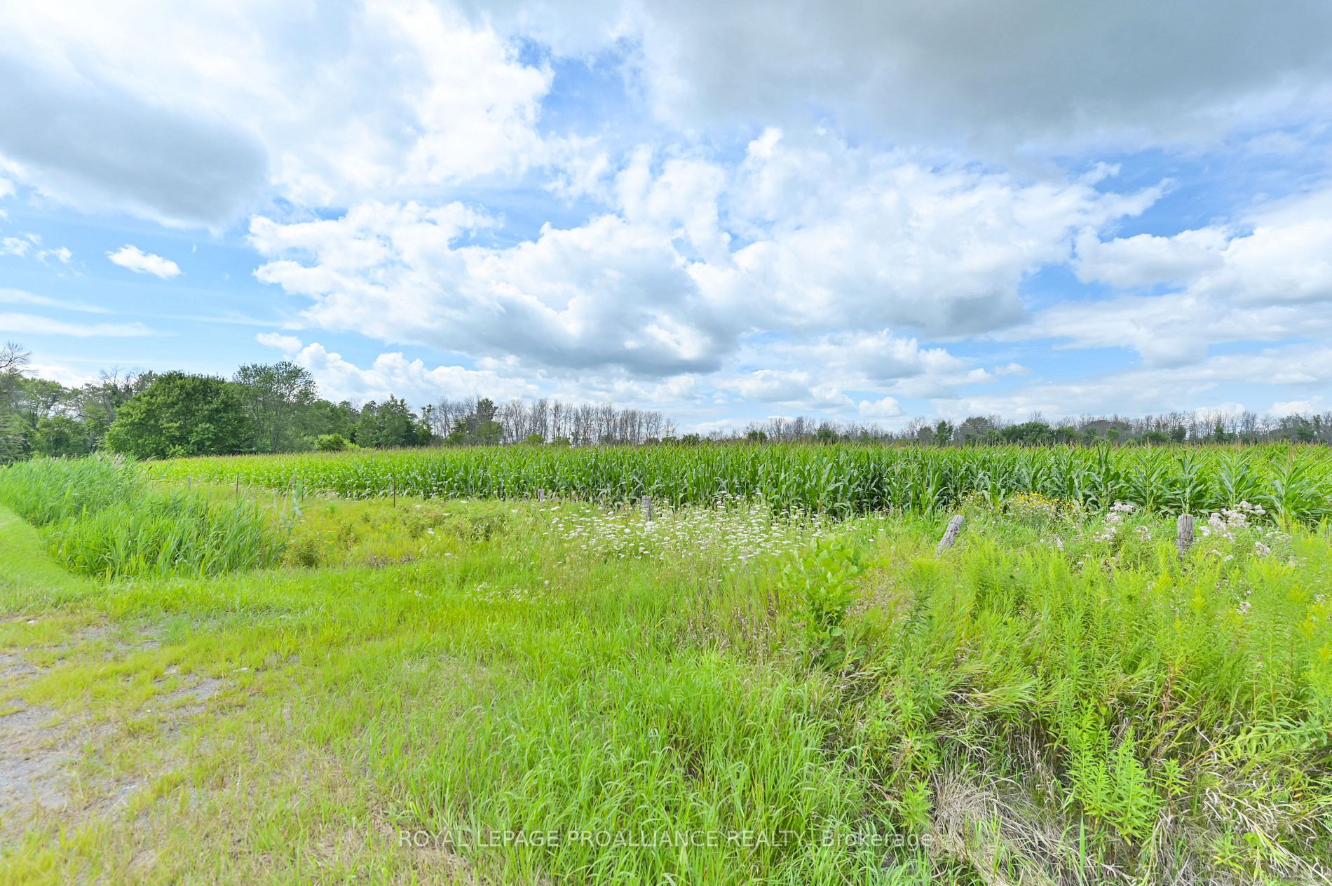 Vacant Land house for sale at 0 Hamilton Rd Quinte West Ontario