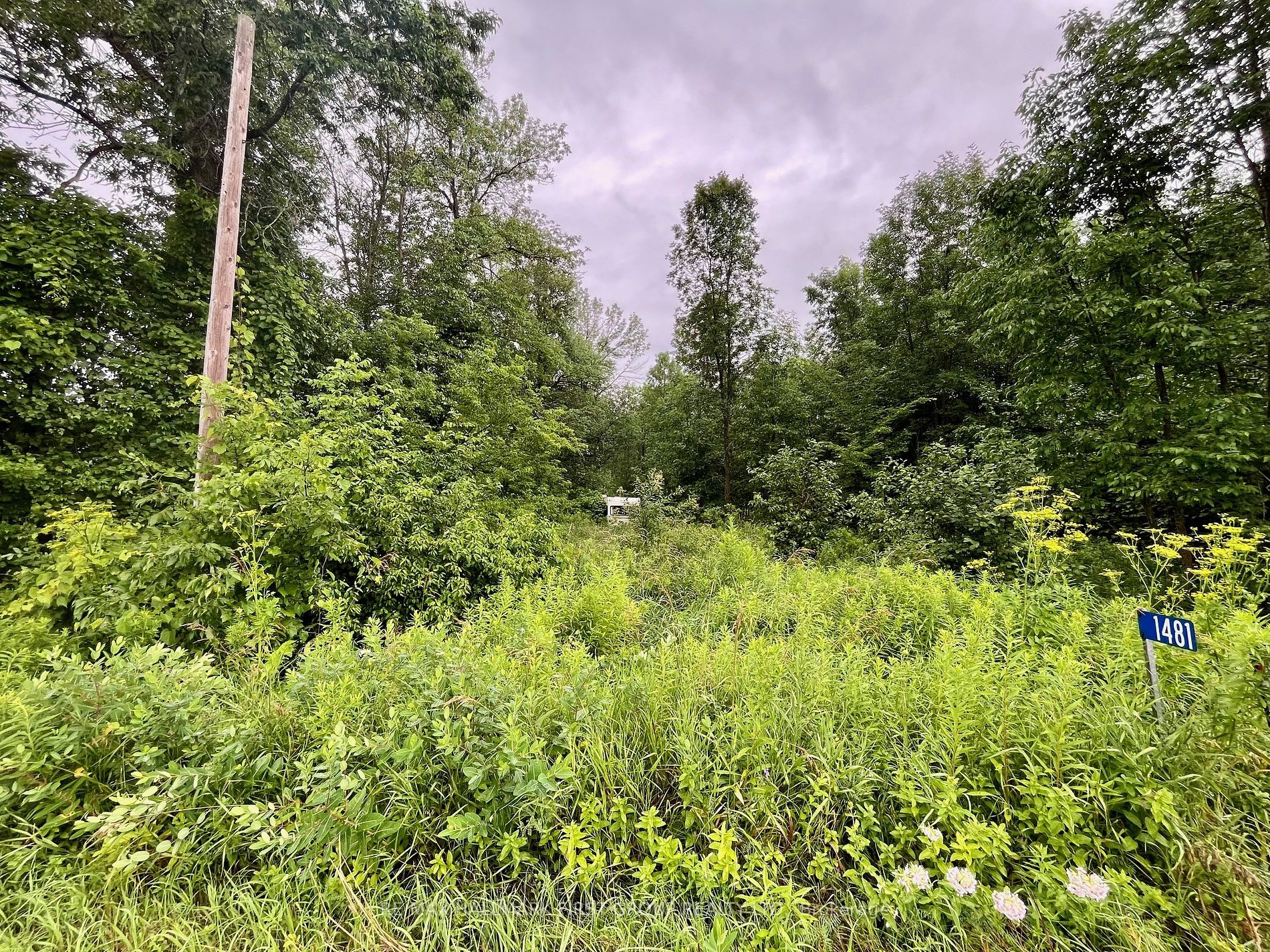 Vacant Land house for sale at 1481 Sulphide Rd Tweed Ontario