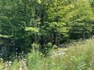 Vacant Land house for sale at 0 Milkrun Rd Marmora and Lake Ontario