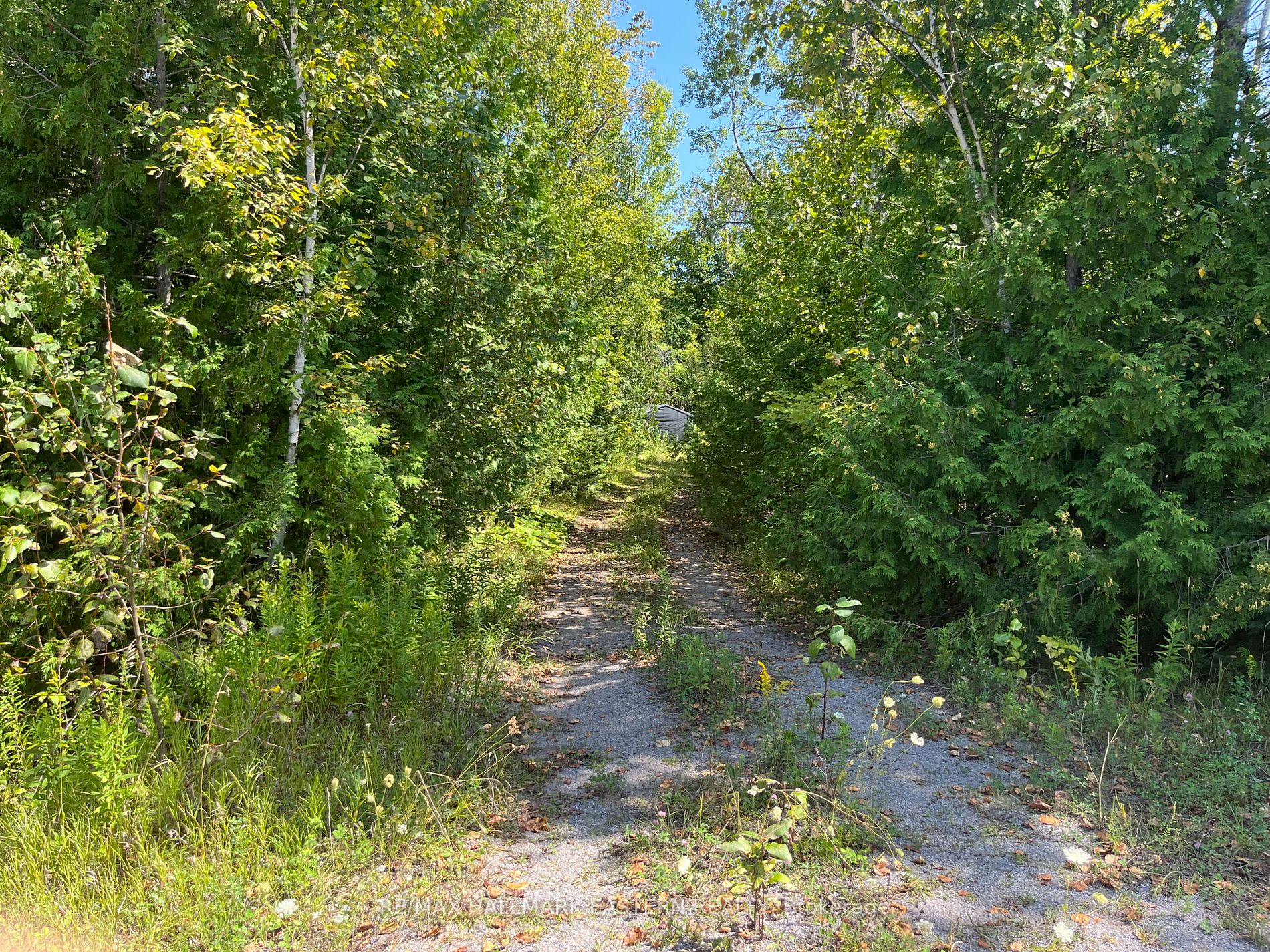 Vacant Land house for sale at 0 Sumcot Dr Galway-Cavendish and Harvey Ontario