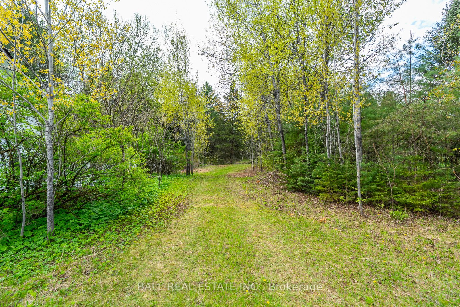 Vacant Land house for sale at 0 The Avenue Kawartha Lakes Ontario