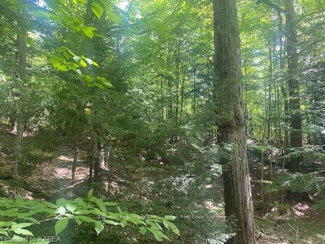 Vacant Land house for sale at LOT JONES FALLS Rd Rideau Lakes Ontario